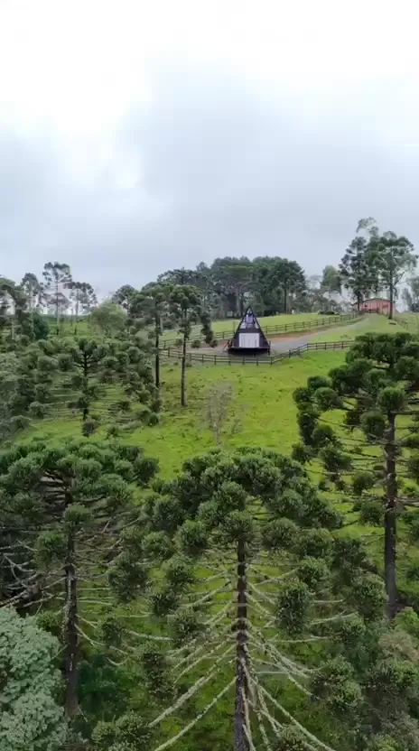 Vista aérea do chalé A-frame cercado por araucárias