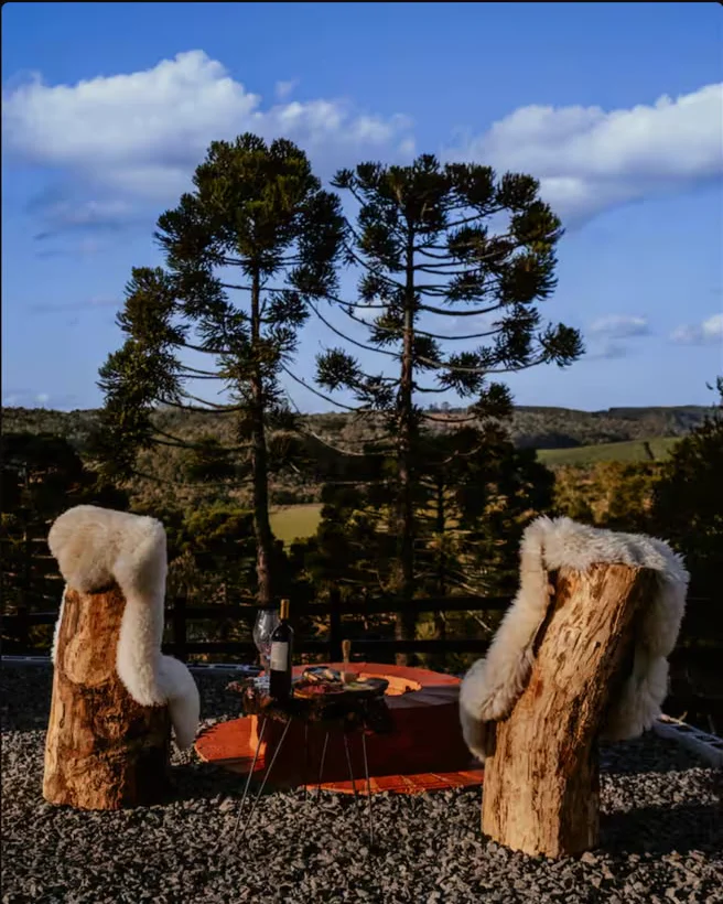 Mesa com vinho entre bancos de tronco com pele, vista das araucárias